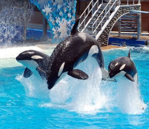 shutterstock_68472997.0.0